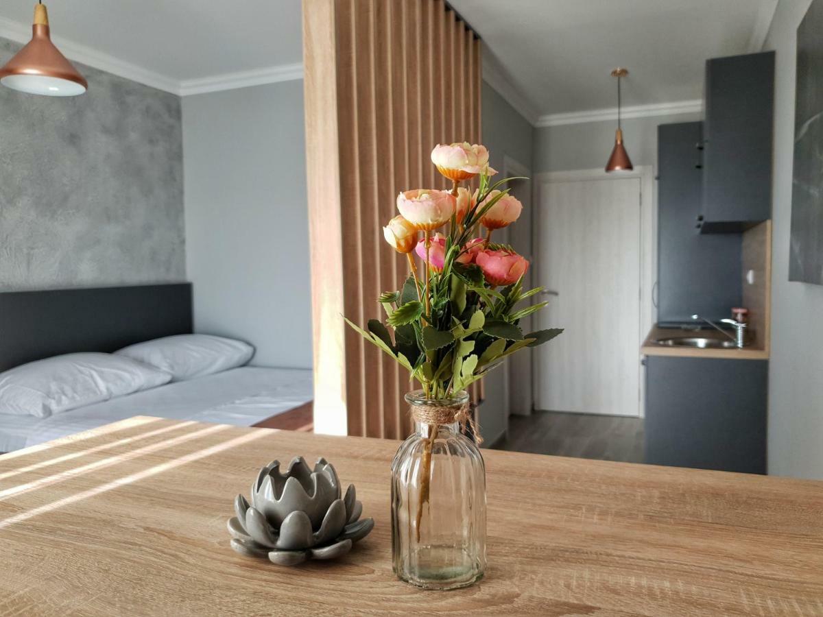 Villa Preciosa Kotor Ngoại thất bức ảnh